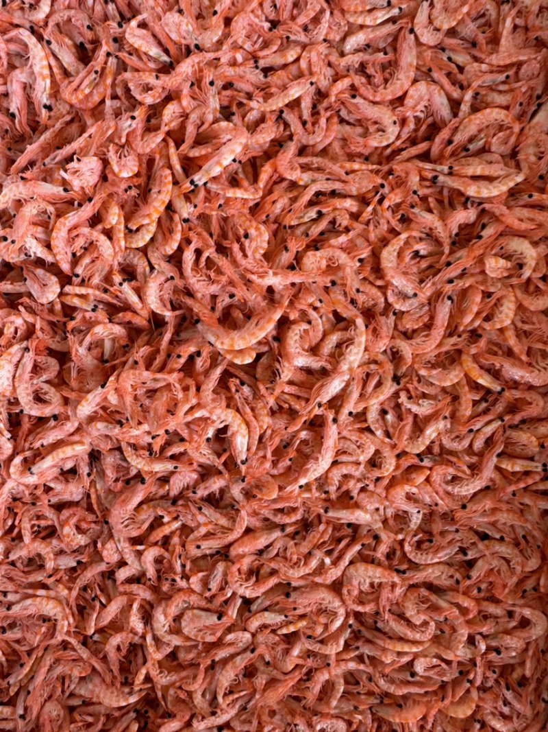 优质磷虾，南极磷虾，颜色好，干度好，中小个头，