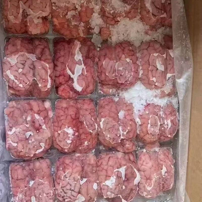 羊脑商用批发净重无冰烧烤火锅新鲜现取真空包装
