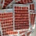 鲜鹿茸片批发零售一件代发电商自家养殖欢迎各位老板前来选购