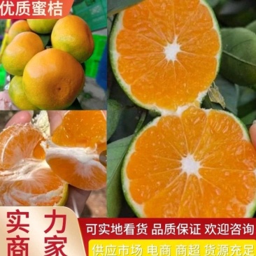 【热门推荐】湖北柑桔蜜橘口感纯甜供应市场电商