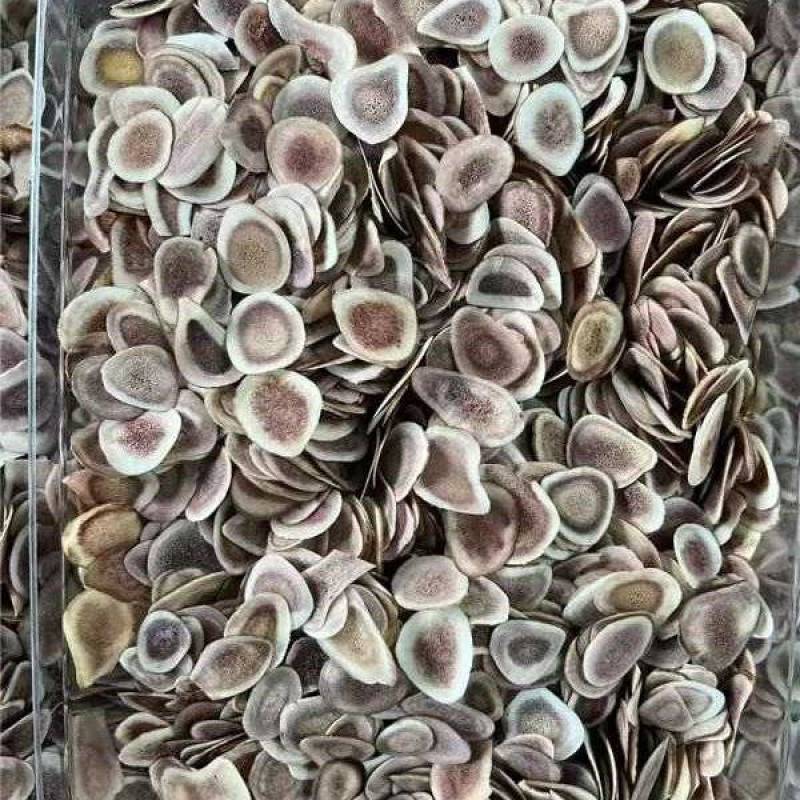 鹿角片大量有货批发零售一件代发电商欢迎各位老板前来选购
