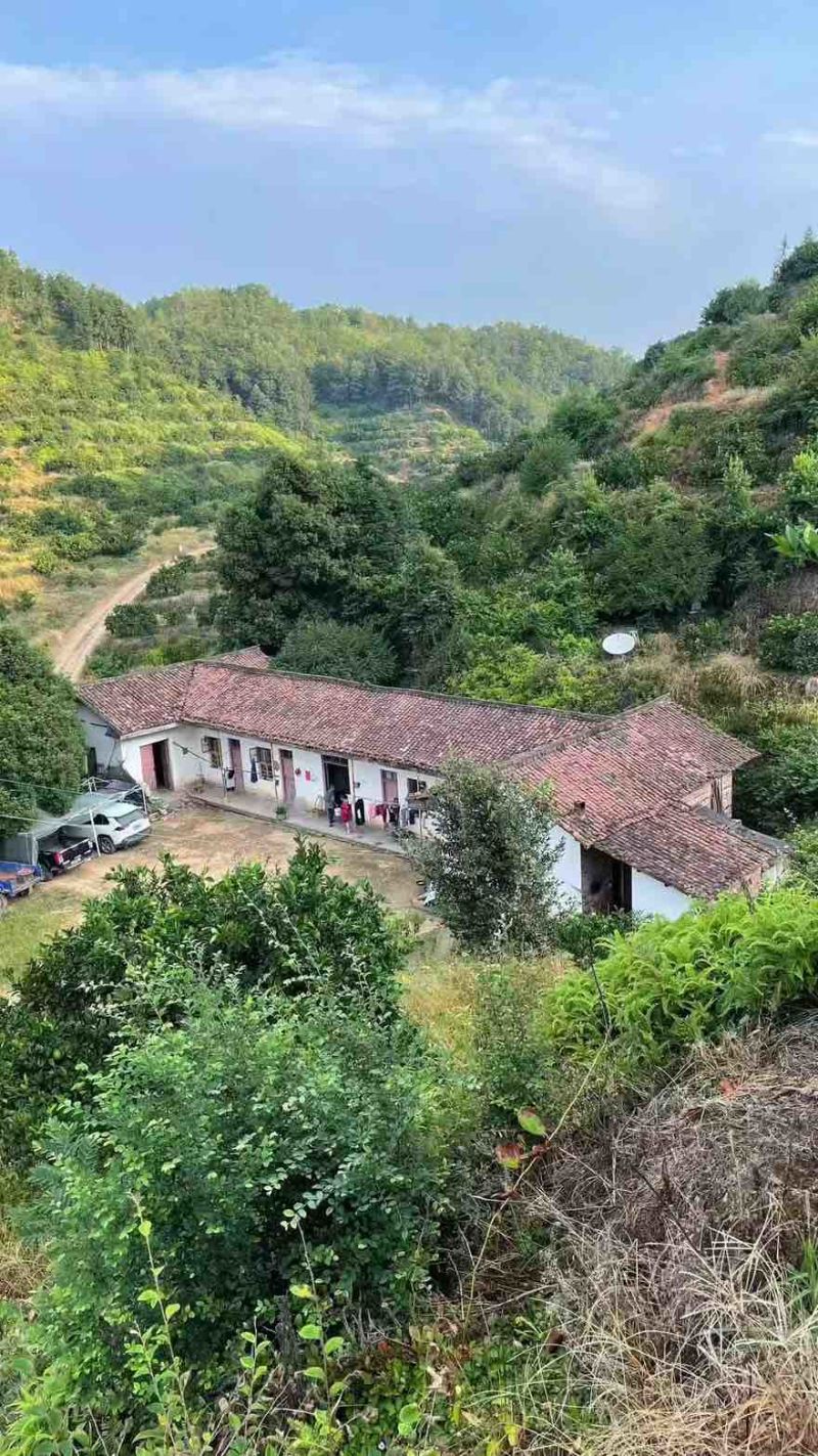 广西黄金百香果，只做高品质一件代发