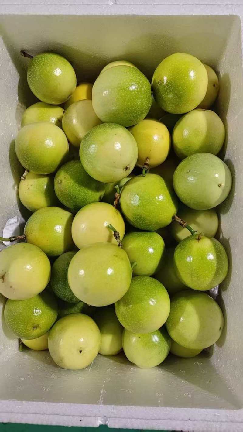 广西黄金百香果，只做高品质一件代发