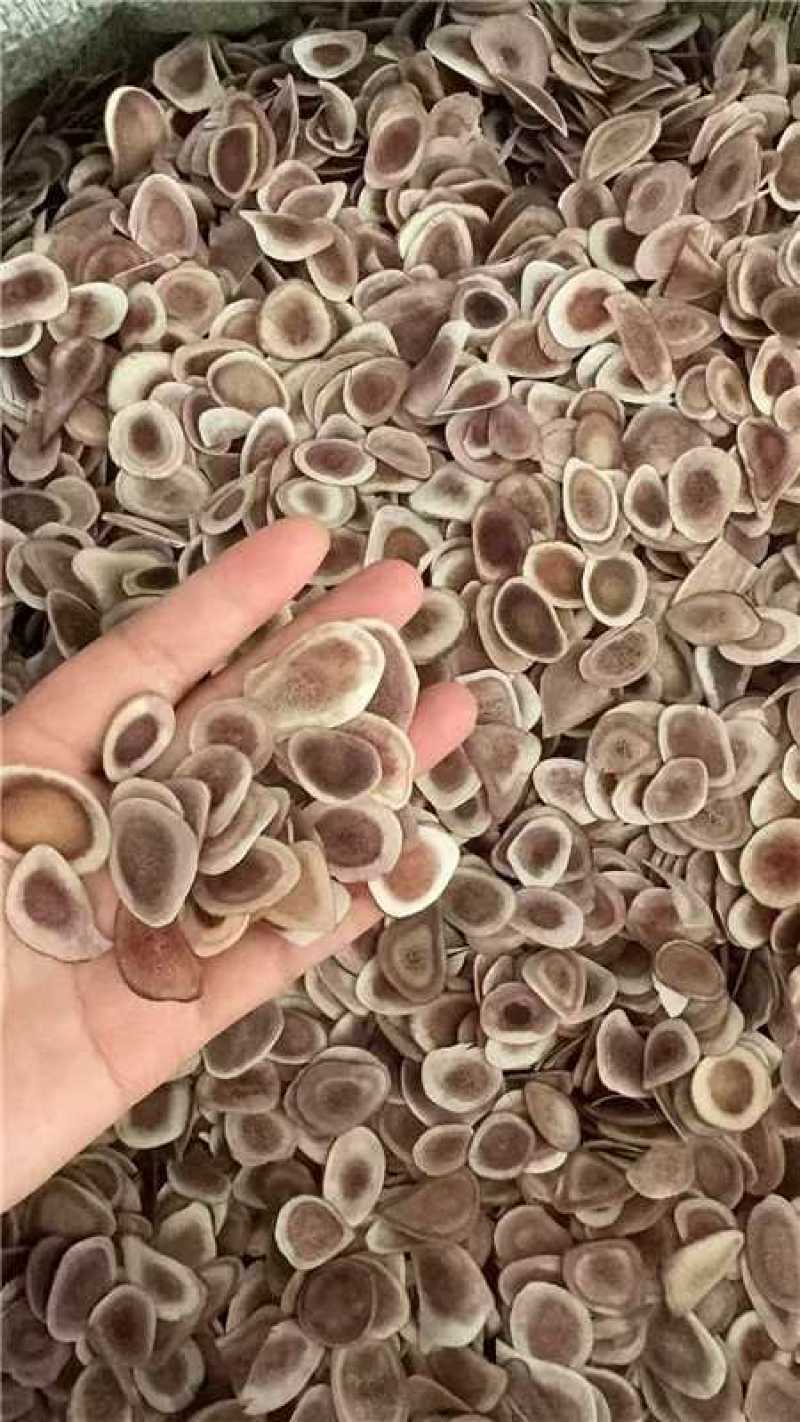 鹿角片大量有货批发零售一件代发电商欢迎各位老板前来选购