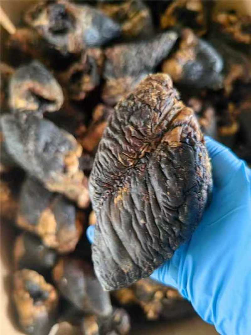 鹿心大量有货欢迎各位老板前来选购咨询电商一件代发批发