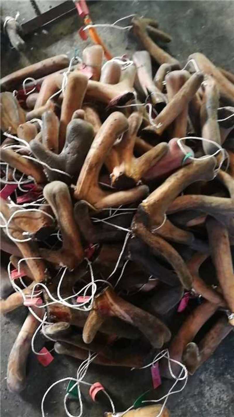 鹿茸粉免费打粉欢迎各位老板前来选购咨询电商一件代发批发