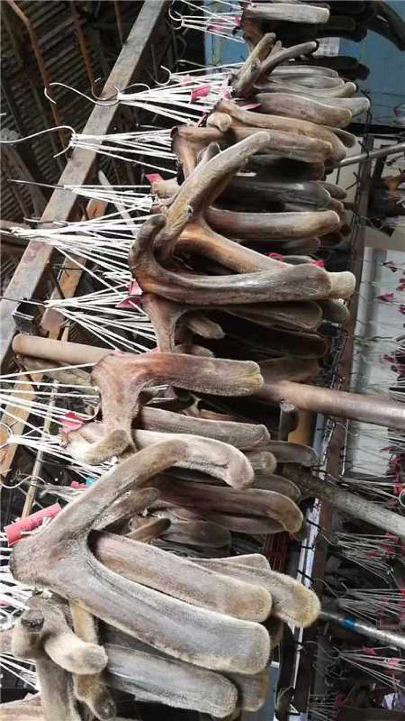 鹿茸粉免费打粉欢迎各位老板前来选购咨询电商一件代发批发