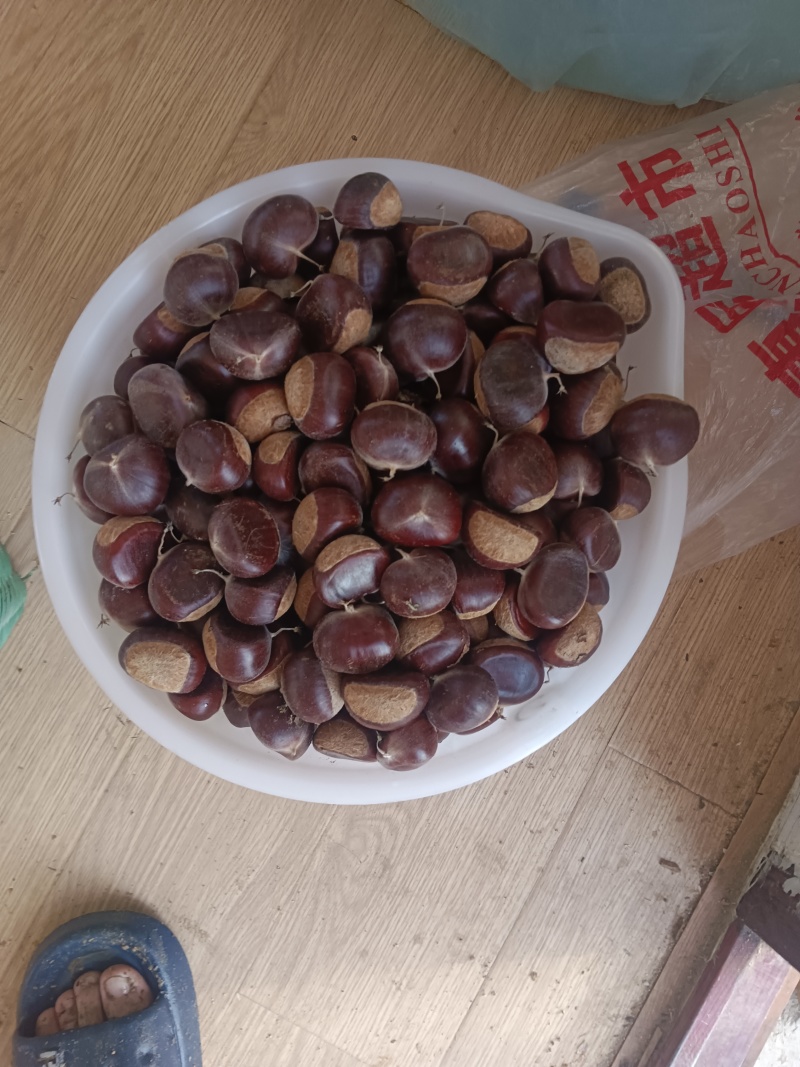 江苏赣榆板栗