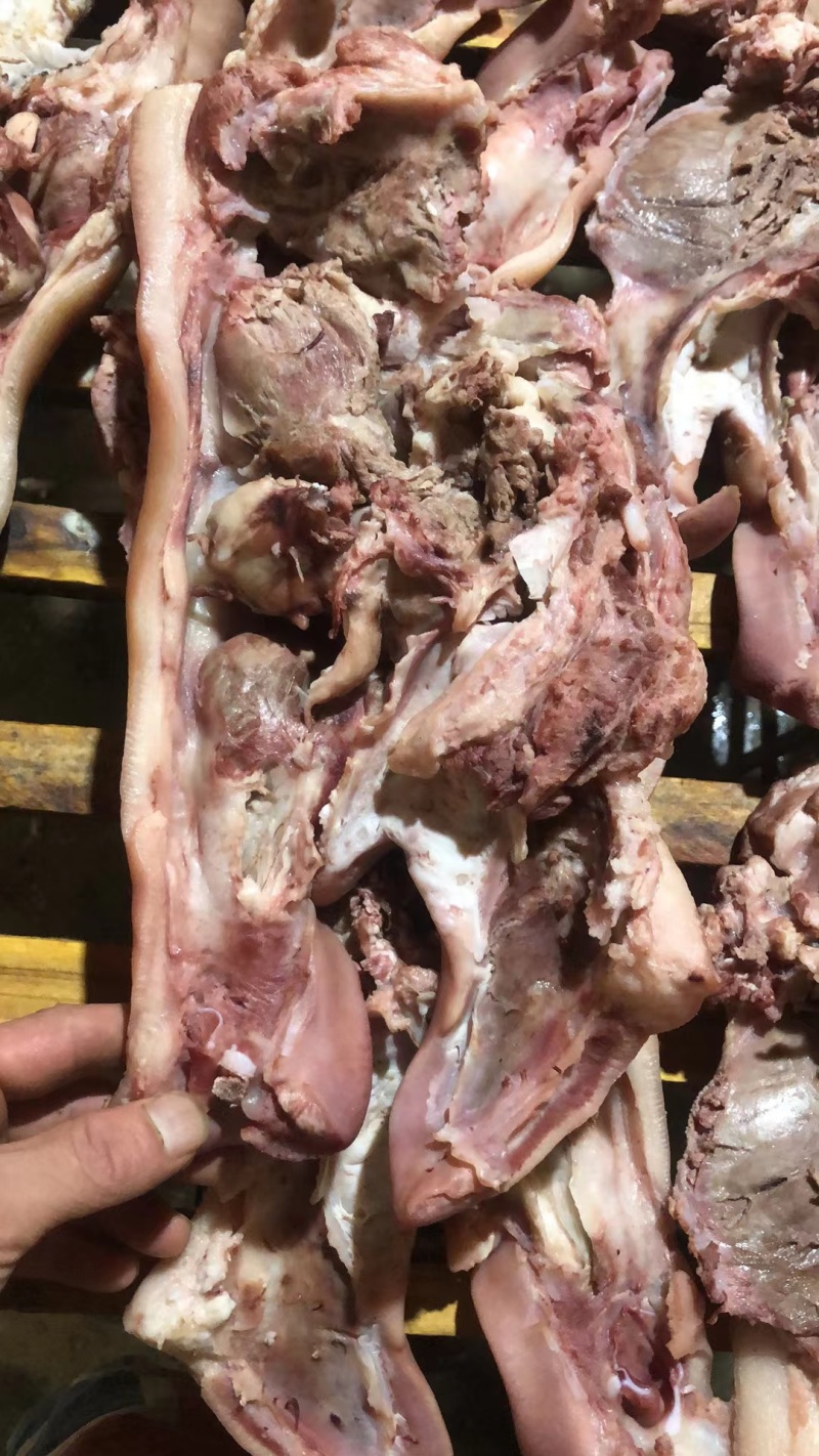 精品猪头肉，卤菜店卖场，地摊售卖，厂家直供，货源稳定。