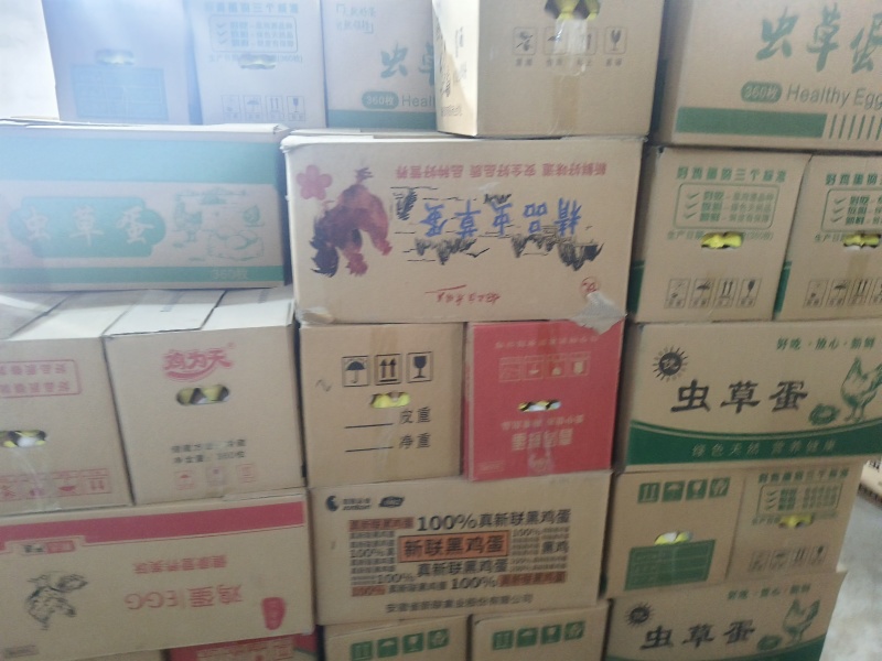 精品农三农一草鸡蛋只发山东省内