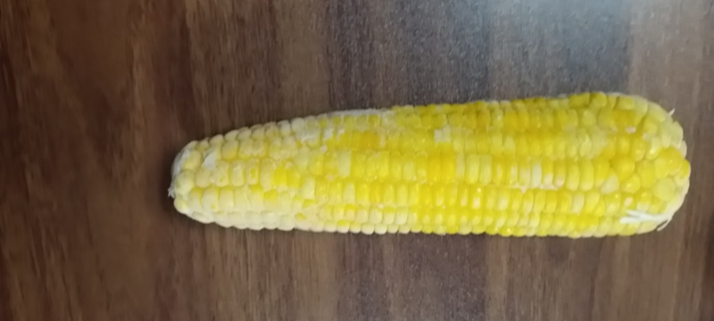 张家口玉米厂家直销