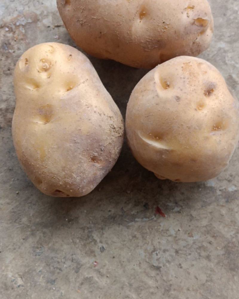 恩施马尔科