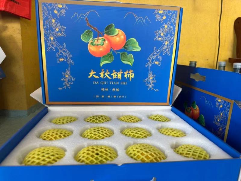 广西精品大秋甜柿大量上市产地现摘现发脆甜多汁欢迎来电