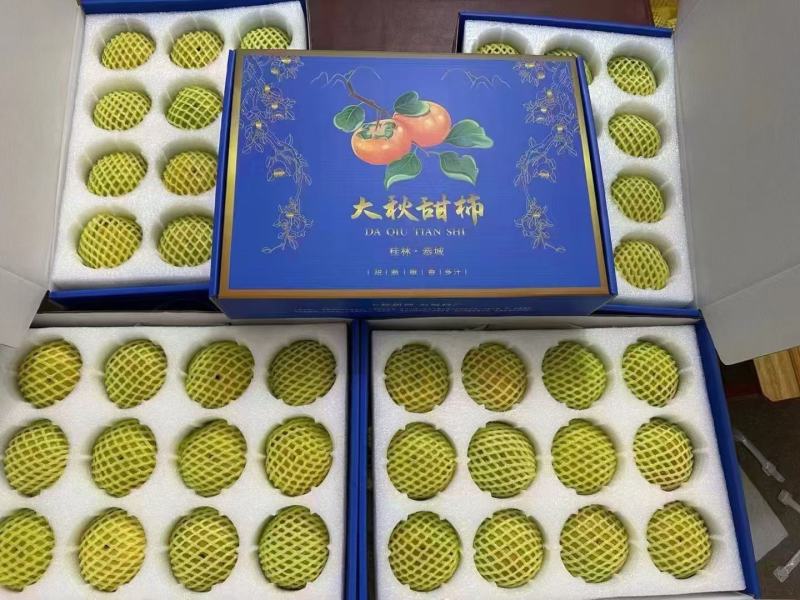 广西精品大秋甜柿大量上市产地现摘现发脆甜多汁欢迎来电