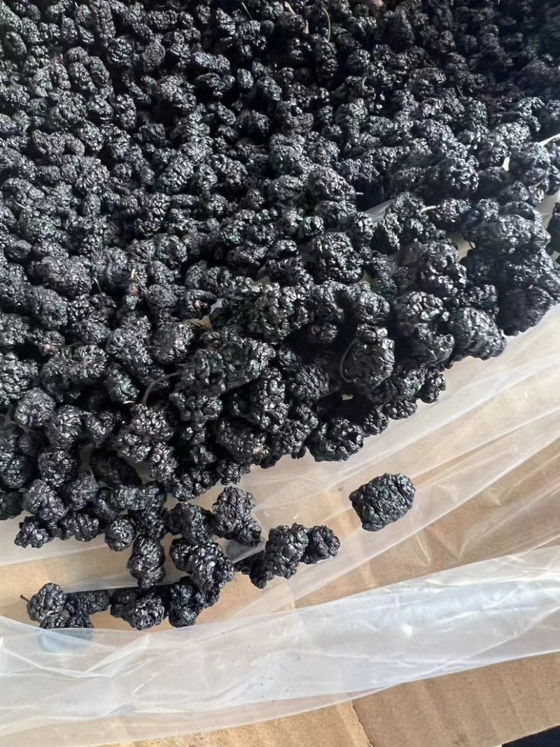 桑葚干泡水黑桑葚免洗无沙新疆桑葚子饱满大颗特产泡酒散装