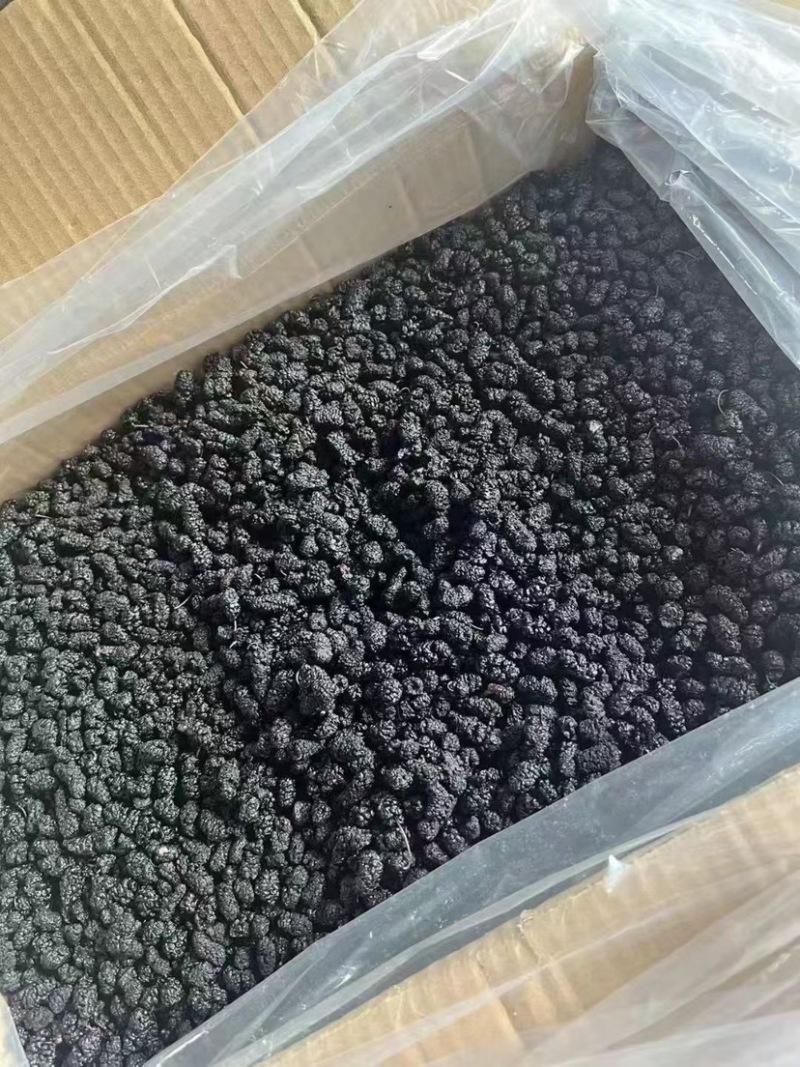 桑葚干泡水黑桑葚免洗无沙新疆桑葚子饱满大颗特产泡酒散装