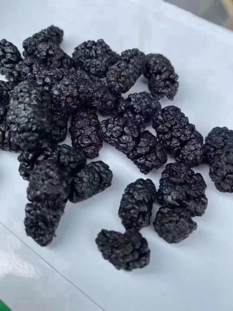 桑葚干泡水黑桑葚免洗无沙新疆桑葚子饱满大颗特产泡酒散装