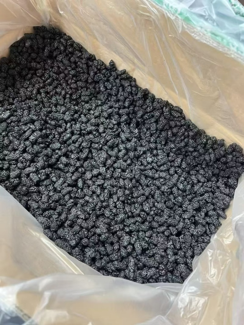 桑葚干泡水黑桑葚免洗无沙新疆桑葚子饱满大颗特产泡酒散装