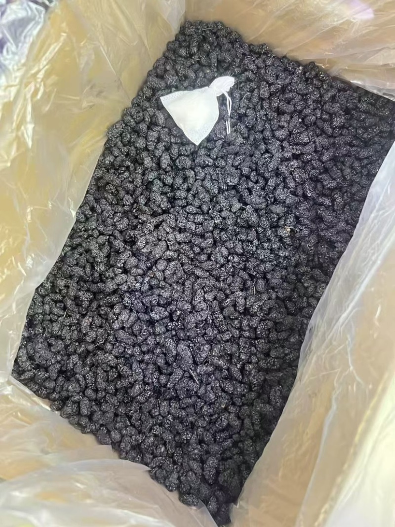 桑葚干泡水黑桑葚免洗无沙新疆桑葚子饱满大颗特产泡酒散装