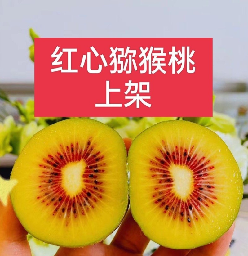 红心猕猴桃