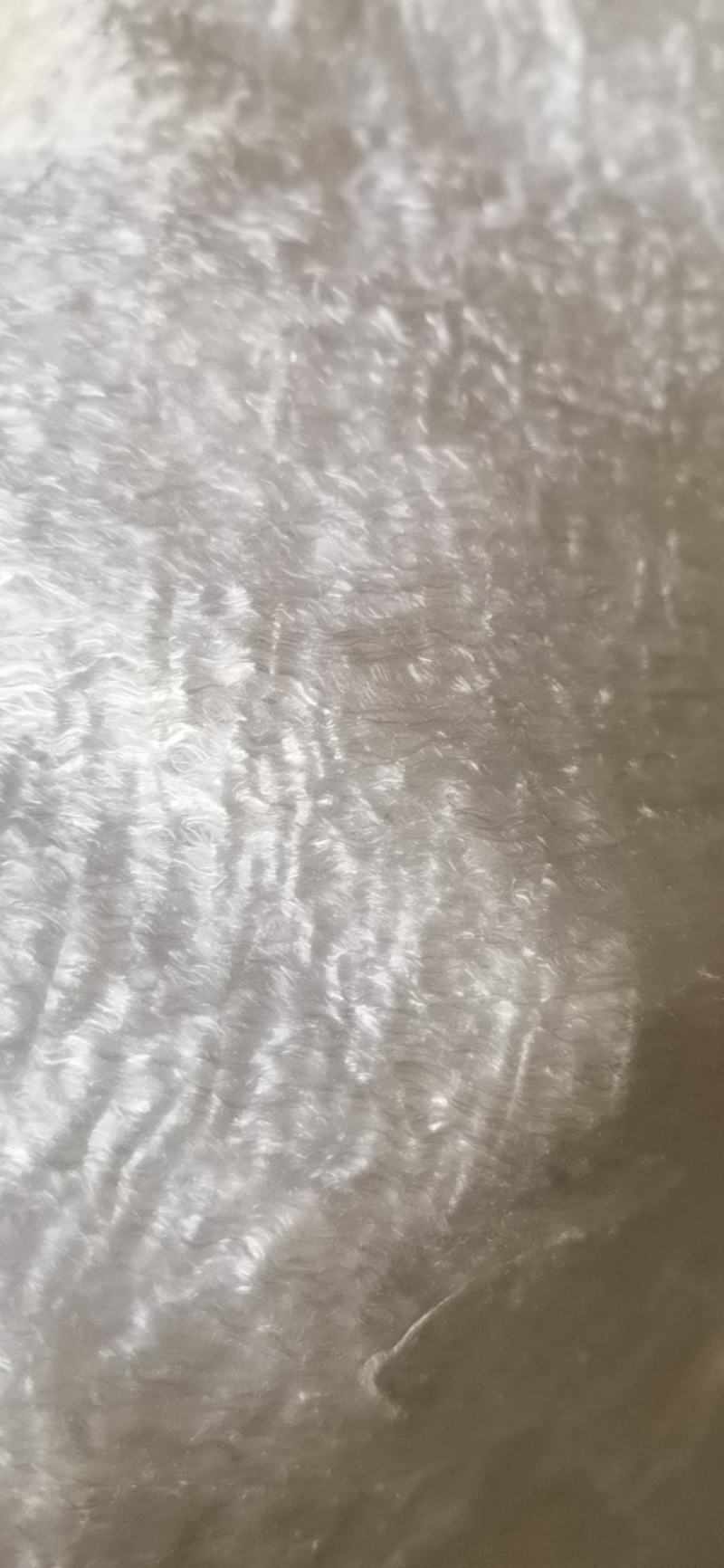 桑蚕丝蚕丝