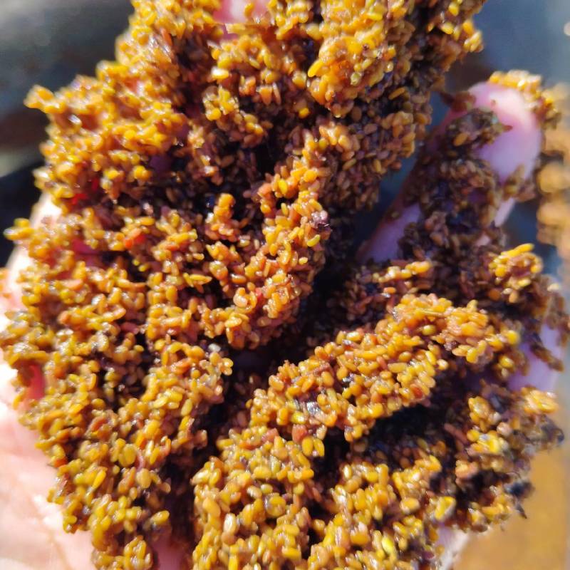 刺嫩芽种子