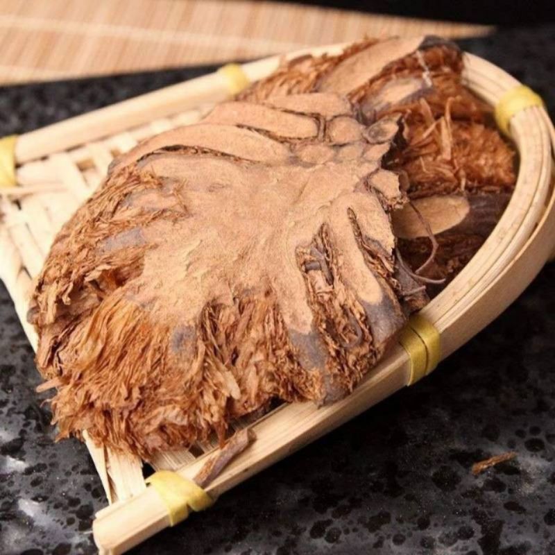 贯众无硫锦马贯众新货贯众中药材正品绵马贯众贯节贯仲贯