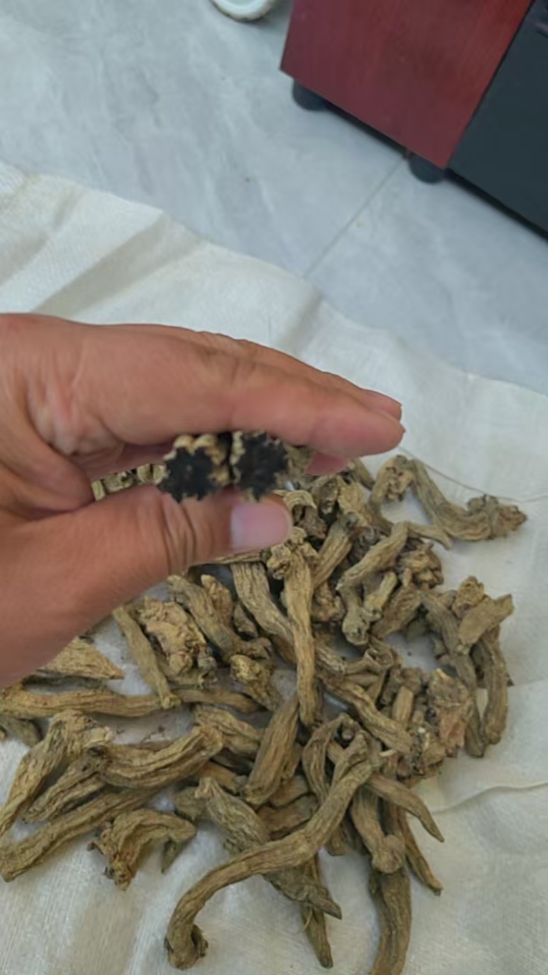 玄参中药材无硫玄参药厂货产地直供大货供应诚信经营