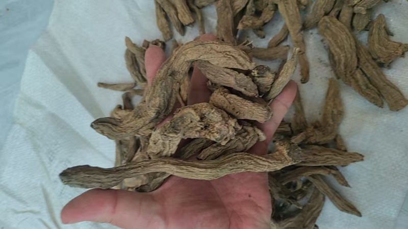 玄参中药材无硫玄参药厂货产地直供大货供应诚信经营