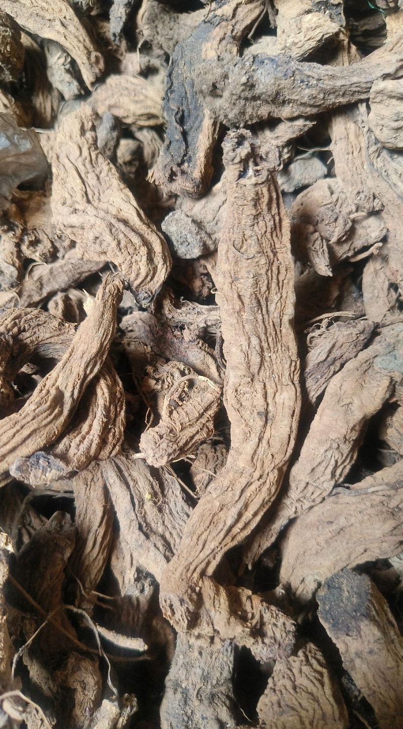 玄参中药材无硫玄参药厂货产地直供大货供应诚信经营