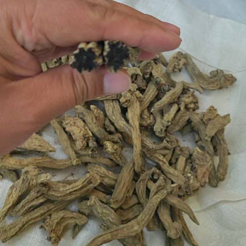 玄参中药材无硫玄参药厂货产地直供大货供应诚信经营