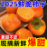 恭城脆柿，已经大量上市了，踢球预订，电商果也大量有货