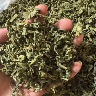 丁香叶茶用药用看图收货保真保量包邮
