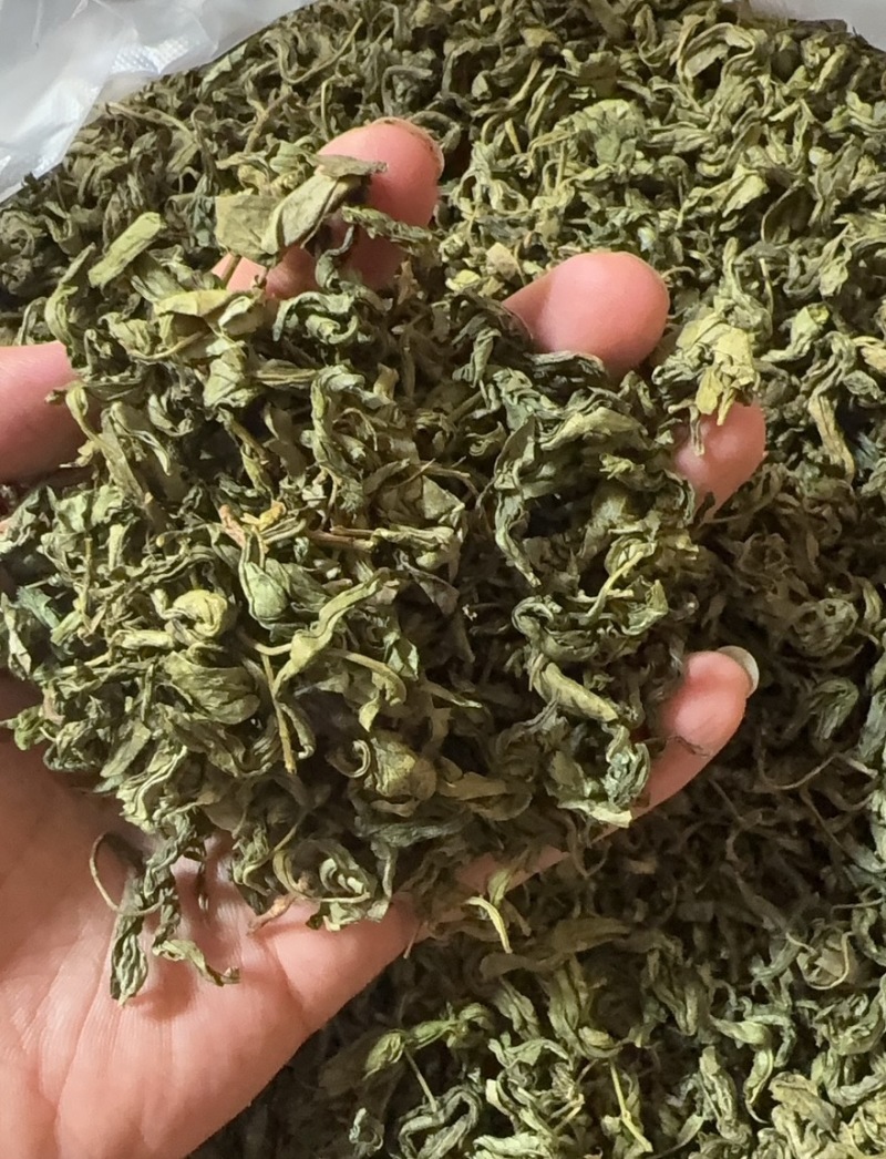 丁香叶茶用药用看图收货保真保量包邮