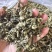 丁香叶茶用药用看图收货保真保量包邮