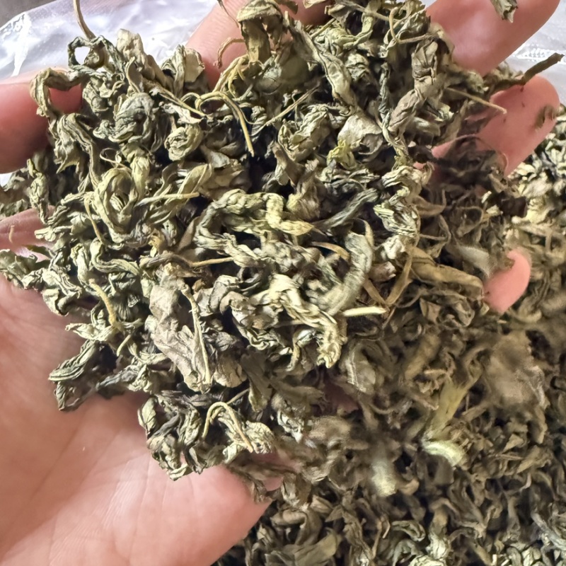 丁香叶茶用药用看图收货保真保量包邮
