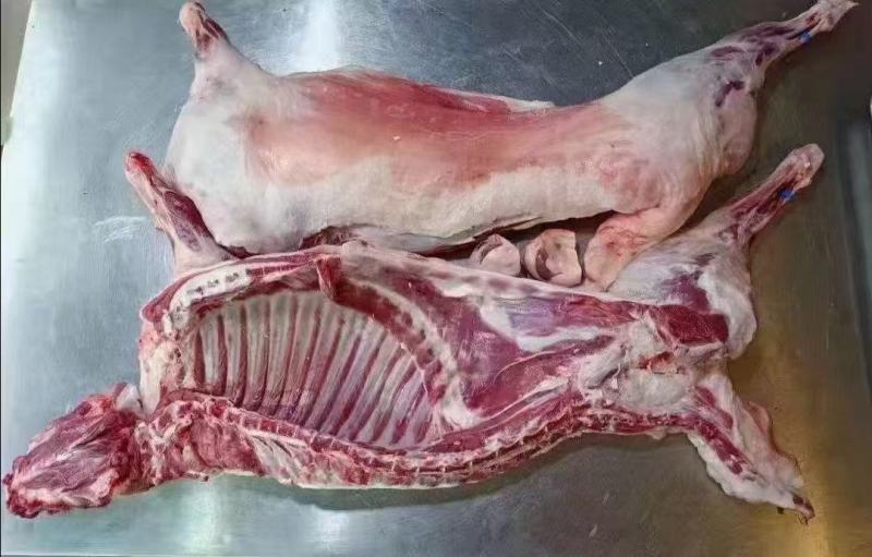宁夏滩羊不腥不膻