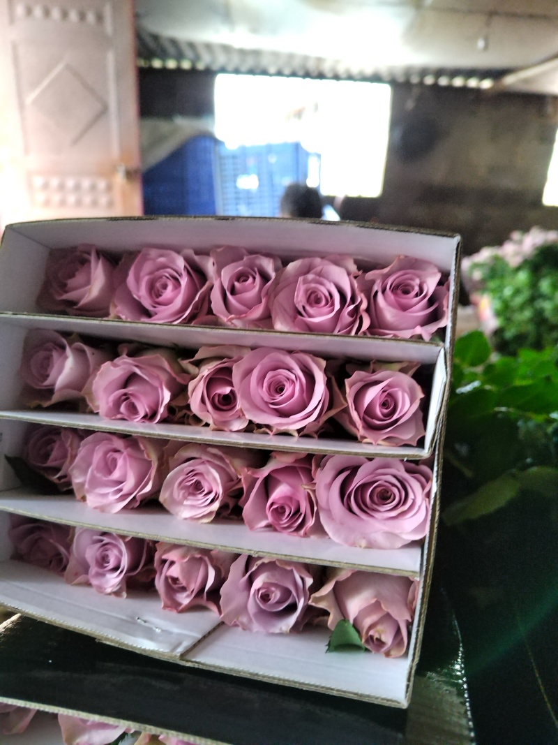 玫瑰花🌹