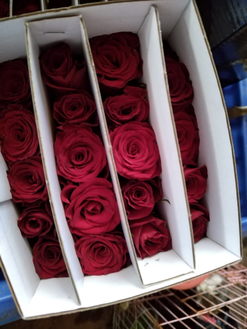 玫瑰花🌹