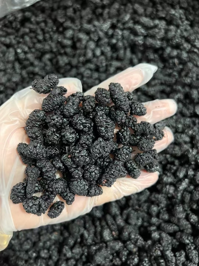 桑葚粉桑葚果粉，现磨粉，***，纯桑葚粉，