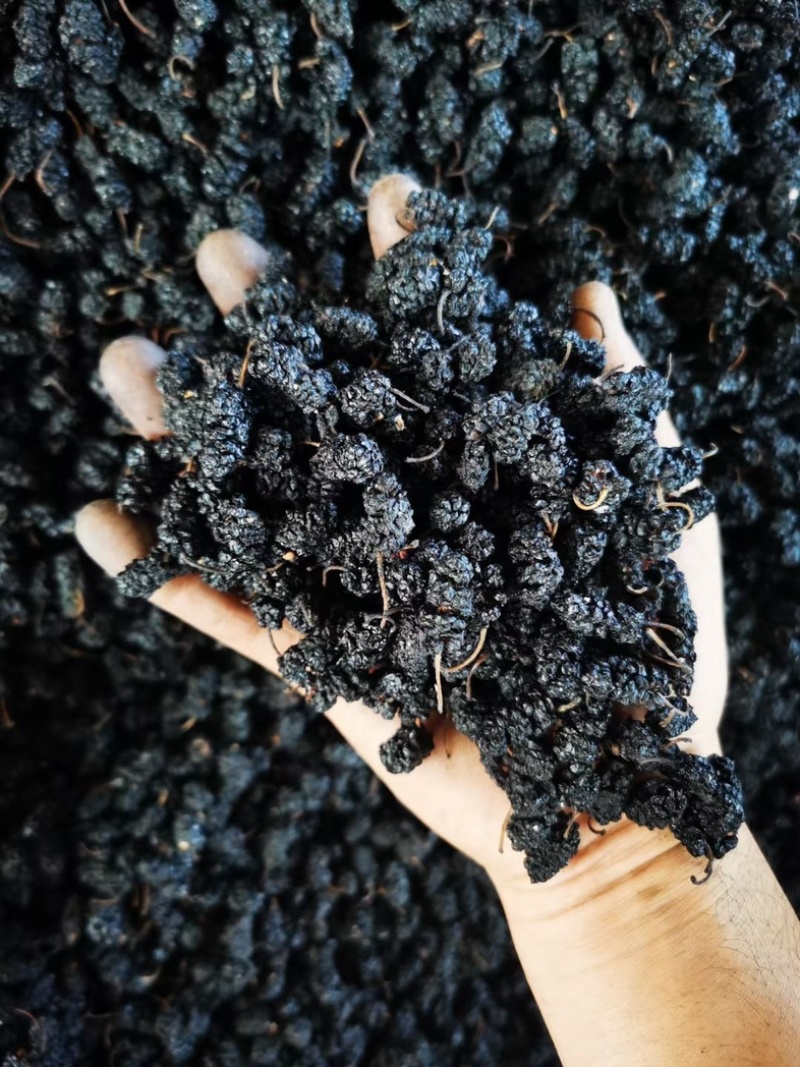 桑葚粉桑葚果粉，现磨粉，***，纯桑葚粉，