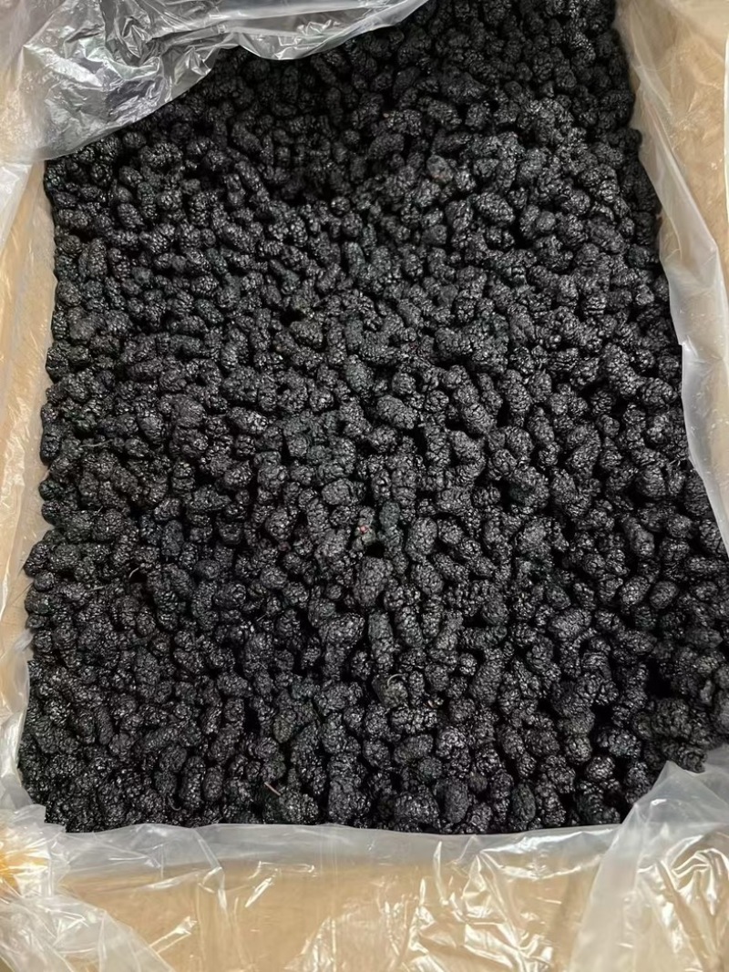 桑葚粉桑葚果粉，现磨粉，***，纯桑葚粉，