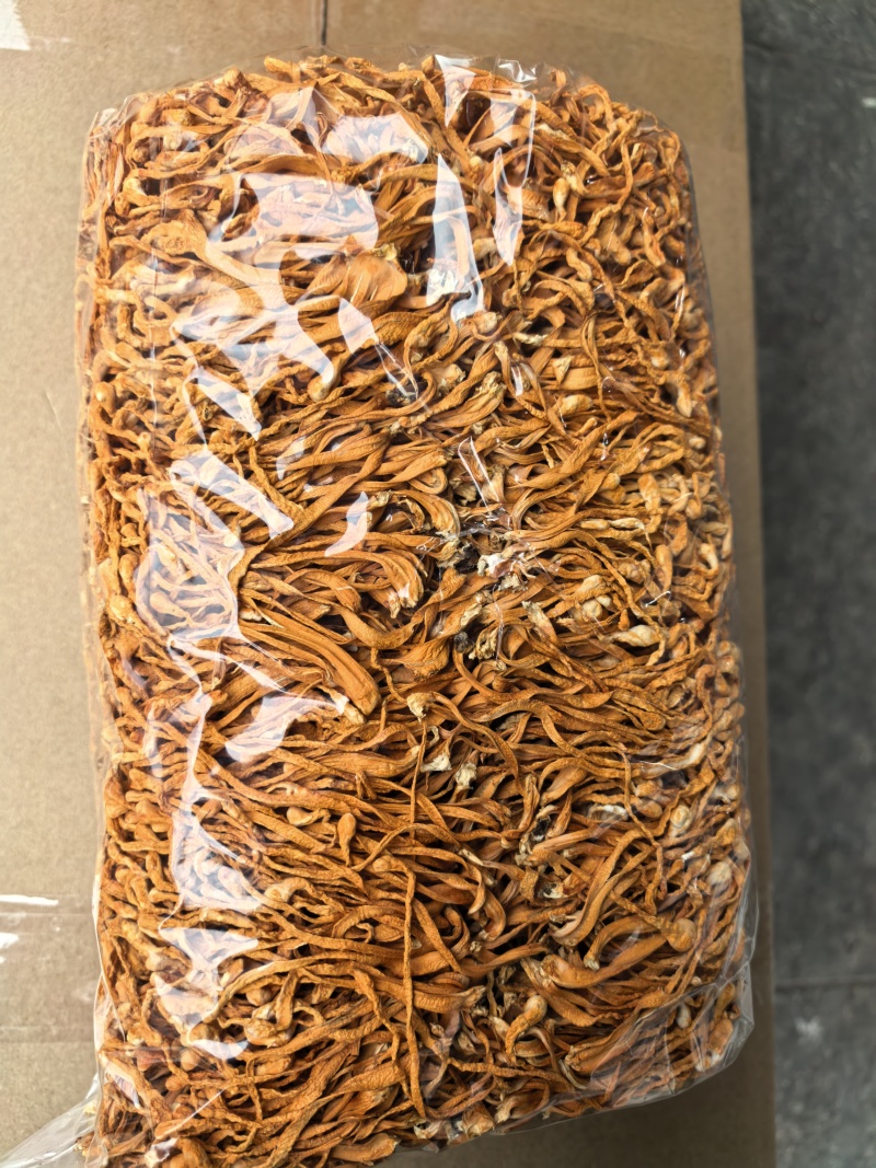 虫草花天然无硫大量现货规格齐全全国发货欢迎合作