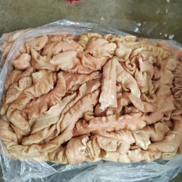 《猪大肠》广东新鲜大肠/工厂直发/欢迎来电合作