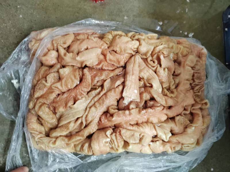 《猪大肠》广东新鲜大肠/工厂直发/欢迎来电合作