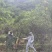 高山土蜂蜜