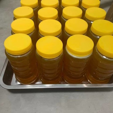 高山土蜂蜜