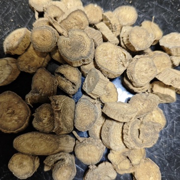 川牛膝