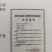 国家认定高桩三青莴笋种子免提920不用激素的三青莴笋种子