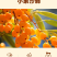 沙棘汁，健康风味饮品，每一口都是大自然的新鲜馈赠